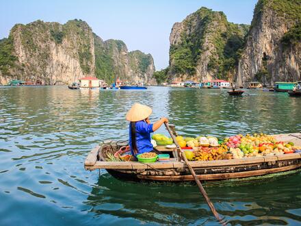 15 Tage Erlebnisreisen Vietnam: Faszinierende Kontraste: Tempel und Halong-Bucht Unkategorisiert online kaufen
