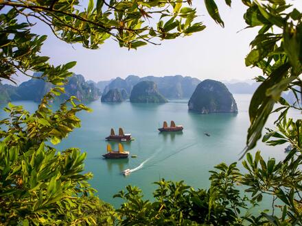15 Tage Erlebnisreisen Vietnam: Von der Dschunke ins Dschungelgrün Unkategorisiert online kaufen