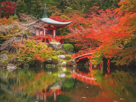 16 Tage Rundreisen Japan: Große Eindrücke in kleiner Runde - Zen, Züge, Zauber Unkategorisiert online kaufen 16 Tage Rundreisen Japan: Große Eindrücke in kleiner Runde - Zen, Züge, Zauber Unkategorisiert online kaufen