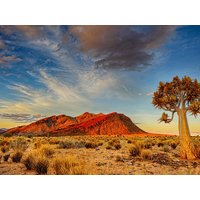 Der Zauber Namibias: Der Beste Zeitpunkt für Ihre Kleingruppen-Rundreise